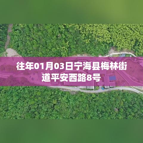 宁海县梅林街道平安西路8号事件回顾