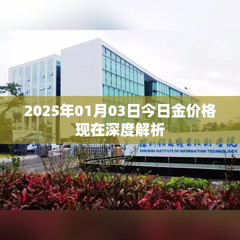 2025年1月3日 第4页