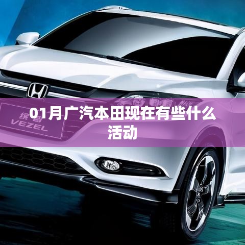 广汽本田一月活动概览