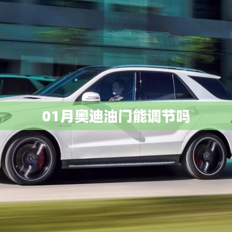 奥迪油门调节指南，轻松掌握油门调节技巧