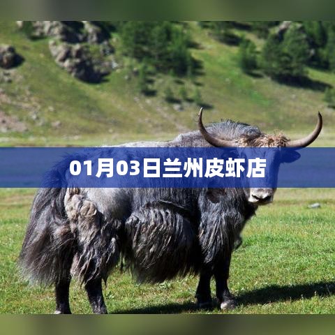 在线留言 第104页