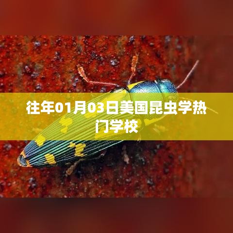 资质证书 第99页