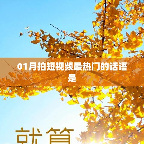 短视频热门话语大盘点，一月最火拍摄文案推荐