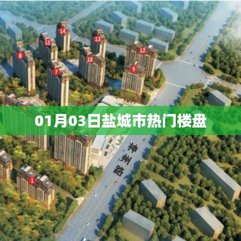 2025年1月5日 第2页