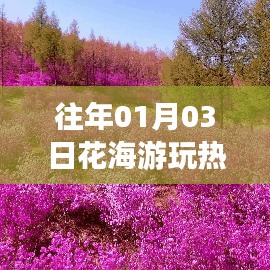花海游玩热门榜单揭晓，不容错过的盛景盛事！