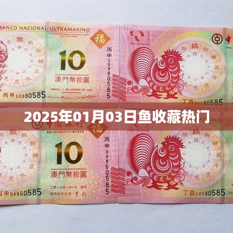 2025年1月3日，鱼收藏大热趋势展望