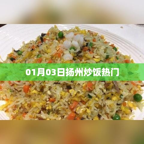 扬州炒饭最新热门动态，一月份新动向揭秘