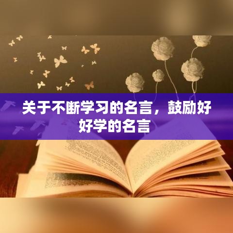 产品展示 第96页