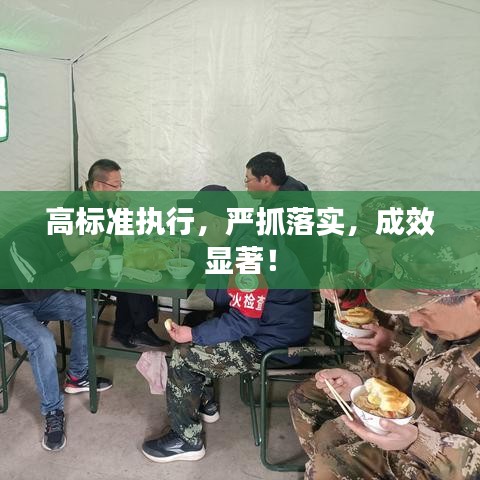 高标准执行，严抓落实，成效显著！
