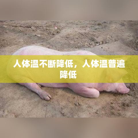 人体温不断降低，人体温普遍降低 