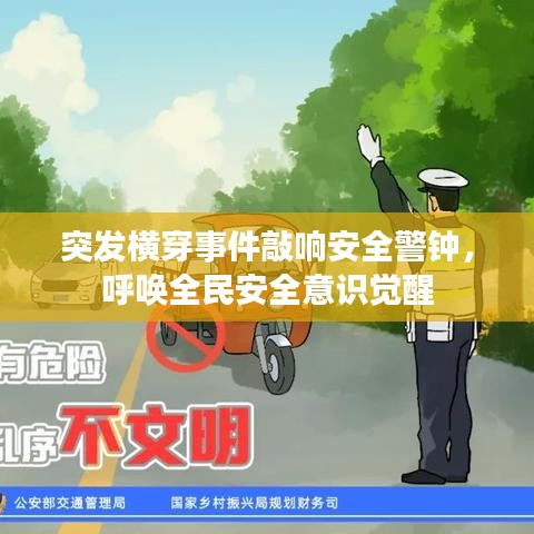 突发横穿事件敲响安全警钟，呼唤全民安全意识觉醒