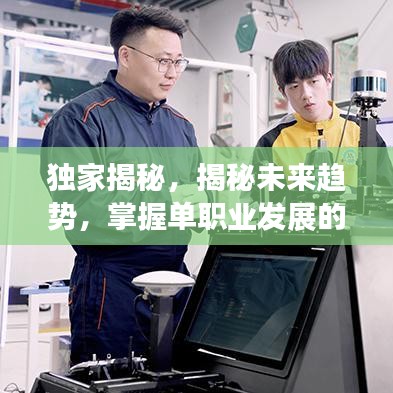 独家揭秘，揭秘未来趋势，掌握单职业发展的黄金机遇