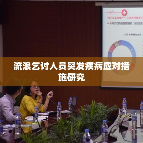 流浪乞讨人员突发疾病应对措施研究