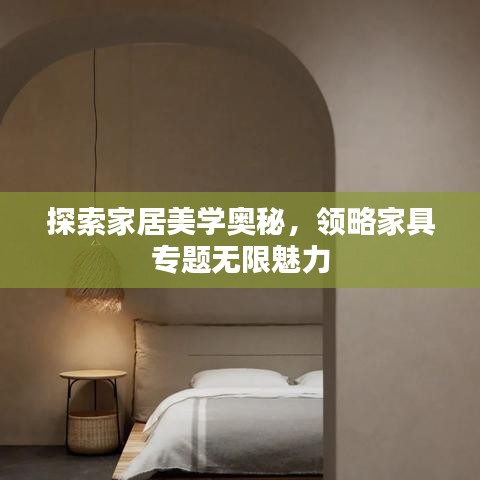 探索家居美学奥秘，领略家具专题无限魅力
