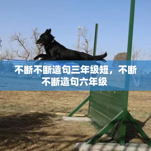 不断不断造句三年级短，不断不断造句六年级 