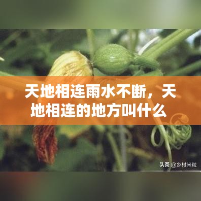 天地相连雨水不断，天地相连的地方叫什么 