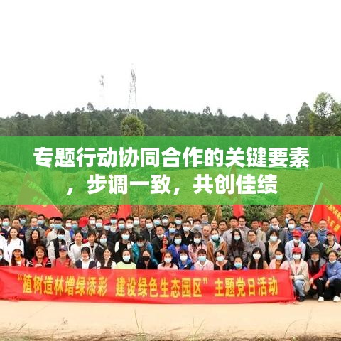 专题行动协同合作的关键要素，步调一致，共创佳绩