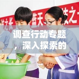 调查行动专题，深入探索的全面解析