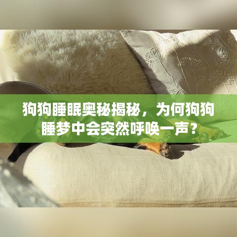 2025年1月9日 第10页
