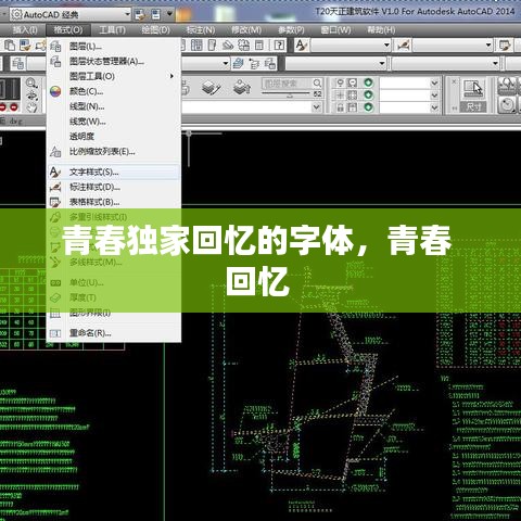 青春独家回忆的字体，青春 回忆 
