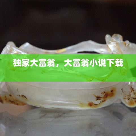 独家大富翁，大富翁小说下载 