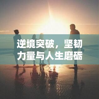 逆境突破，坚韧力量与人生磨砺的奋斗篇章