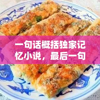 一句话概括独家记忆小说，最后一句是独家记忆 