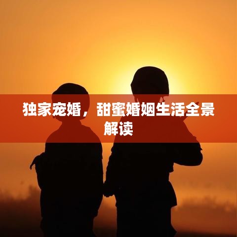 独家宠婚，甜蜜婚姻生活全景解读