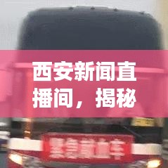 2025年1月10日 第2页