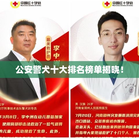 公安警犬十大排名榜单揭晓！