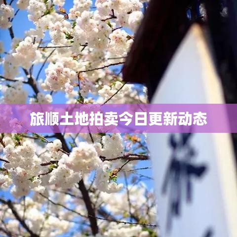 旅顺土地拍卖今日更新动态