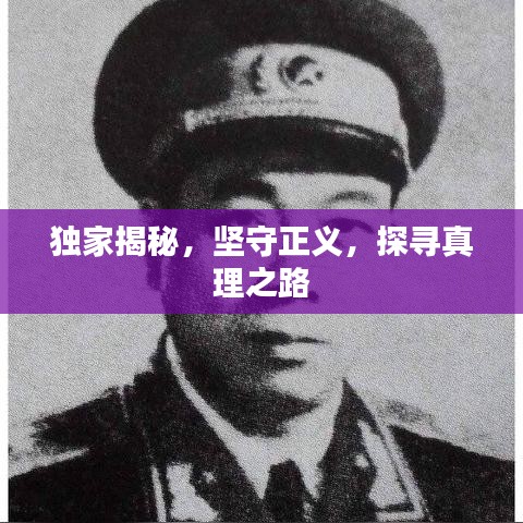 独家揭秘，坚守正义，探寻真理之路