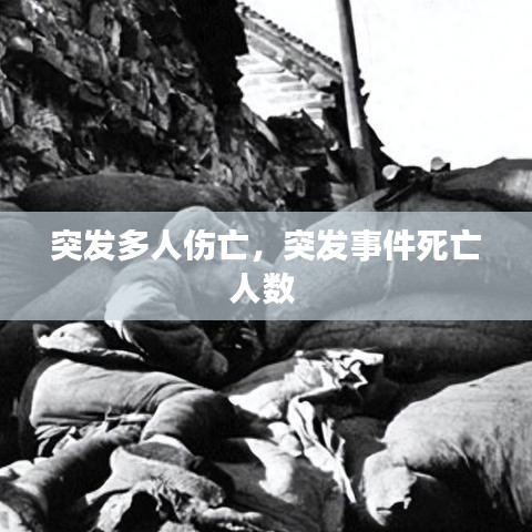 突发多人伤亡，突发事件死亡人数 