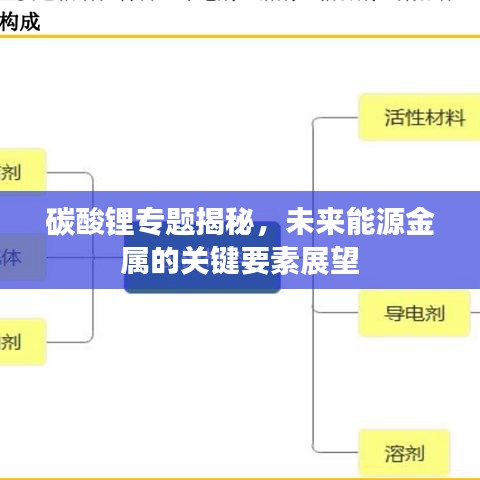 碳酸锂专题揭秘，未来能源金属的关键要素展望