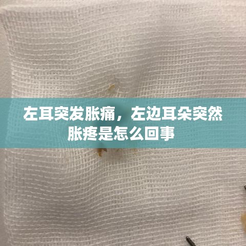 左耳突发胀痛，左边耳朵突然胀疼是怎么回事 