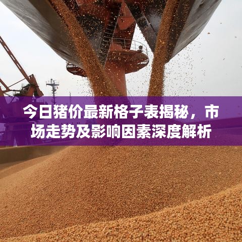 今日猪价最新格子表揭秘，市场走势及影响因素深度解析