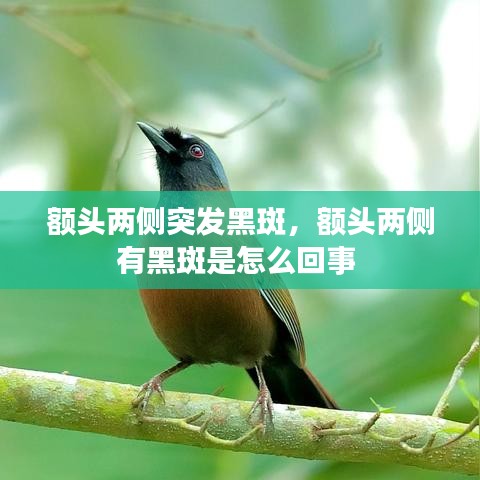2025年1月11日