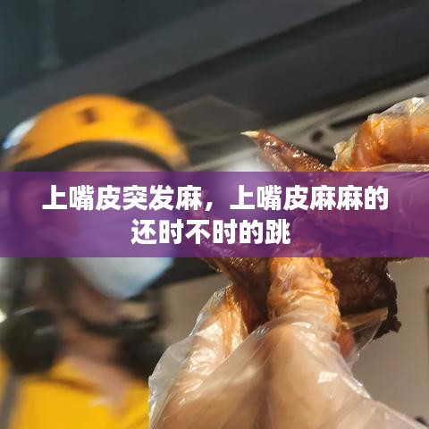 2025年1月12日 第13页