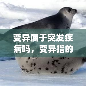 变异属于突发疾病吗，变异指的是 