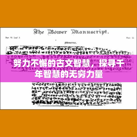 努力不懈的古文智慧，探寻千年智慧的无穷力量
