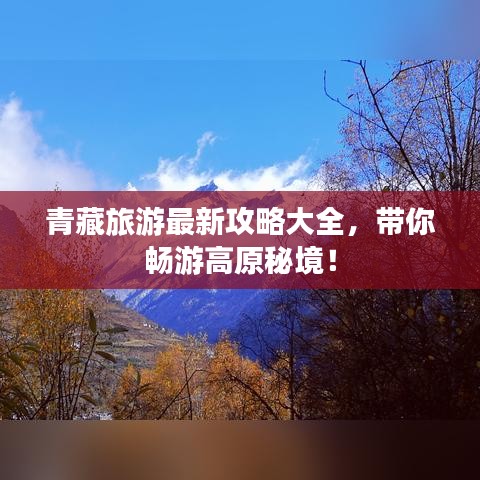 2025年1月12日 第3页