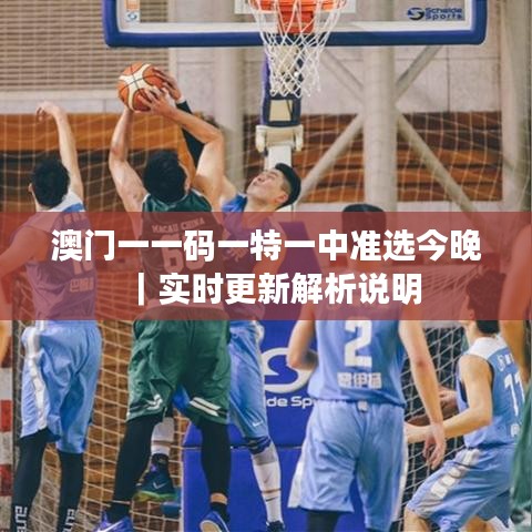 澳门一一码一特一中准选今晚｜实时更新解析说明