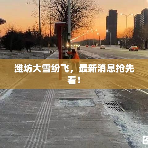 潍坊大雪纷飞，最新消息抢先看！