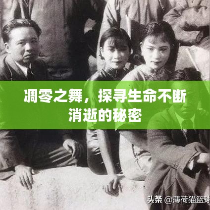 2025年1月18日 第5页