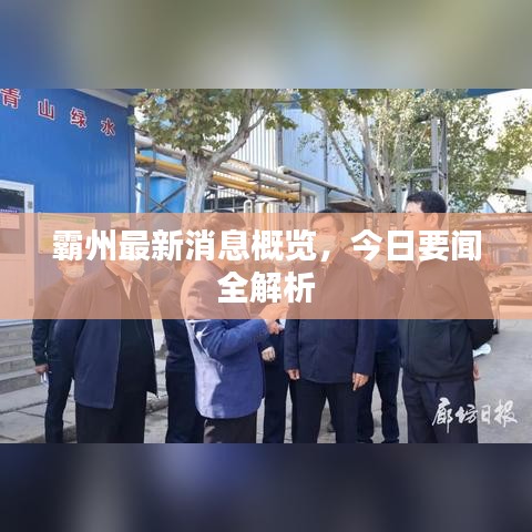 霸州最新消息概览，今日要闻全解析