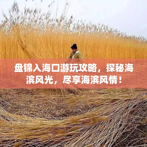2025年1月18日