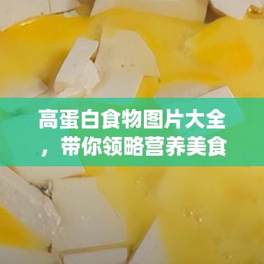 高蛋白食物图片大全，带你领略营养美食盛宴！