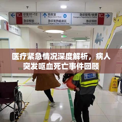 医疗紧急情况深度解析，病人突发呕血死亡事件回顾