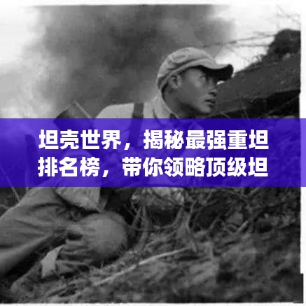 坦壳世界，揭秘最强重坦排名榜，带你领略顶级坦克风采！