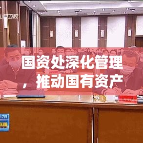 国资处深化管理，推动国有资产高效利用，助力可持续发展